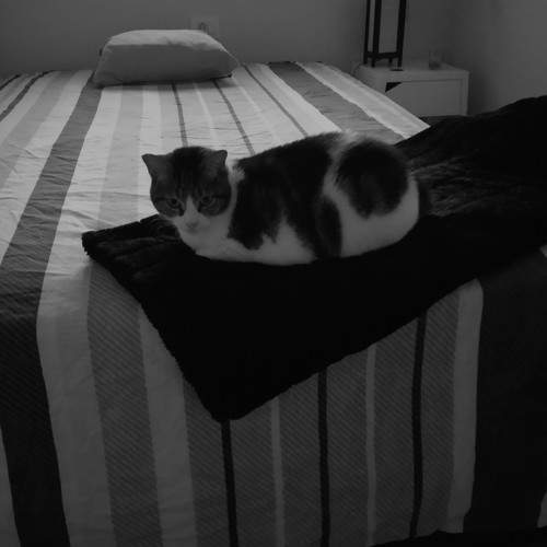 Photo #5770623