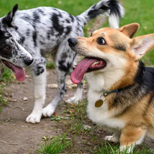Photo #5770780