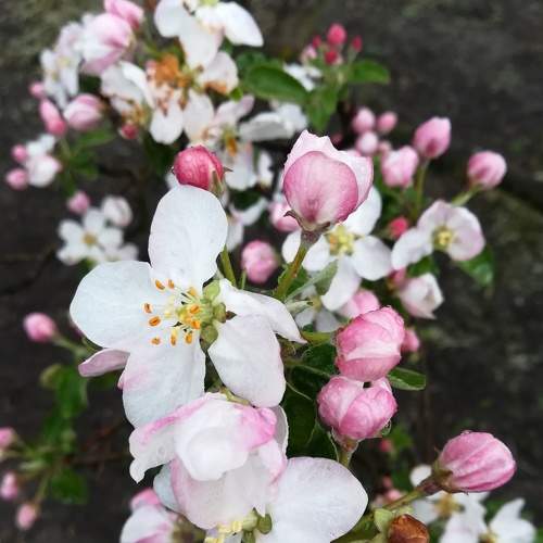 Photo #5770811