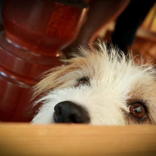 Photo #5771021