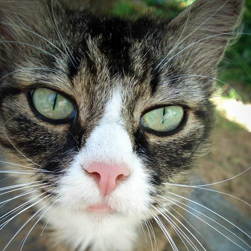 Photo #5771022