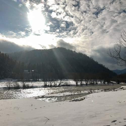 Photo #5771532