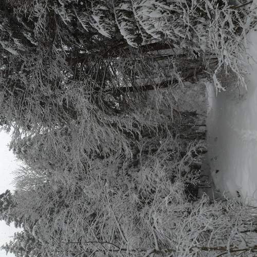 Photo #5771543