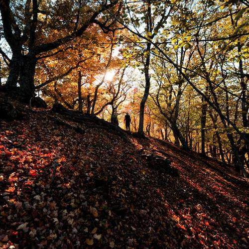 Photo #5771650