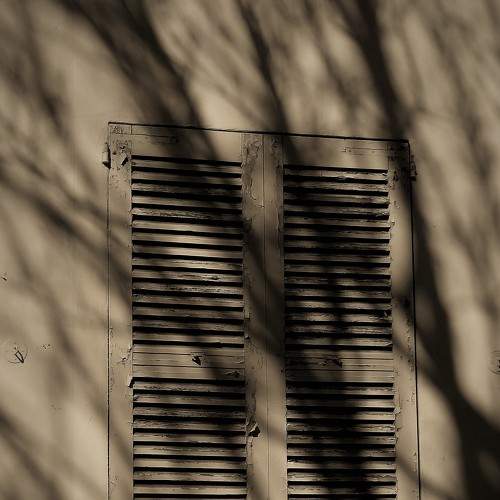 Photo #5771673
