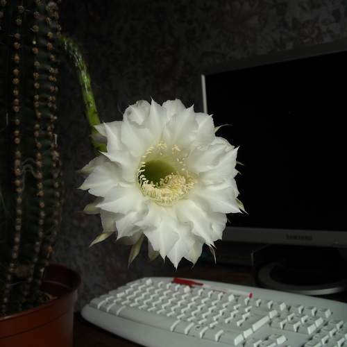 Photo #5771739