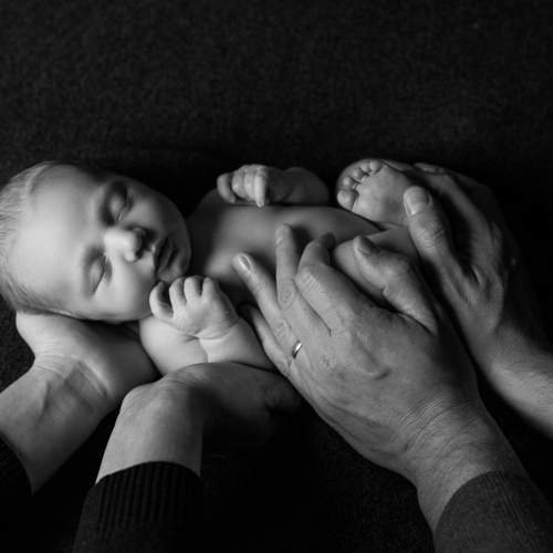 Photo #5771814