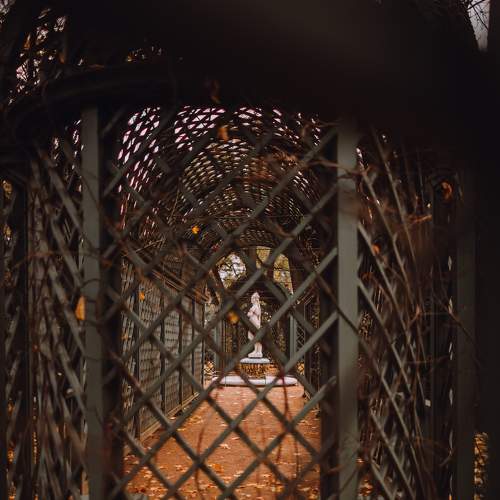 Photo #5771825