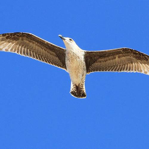 Photo #5772141