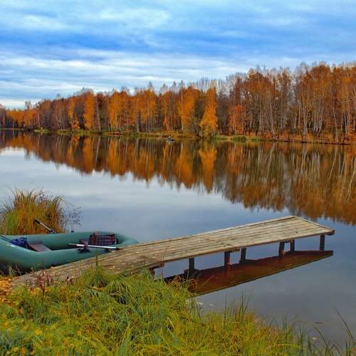 Photo #5772242