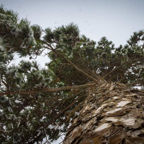 Photo #5772543