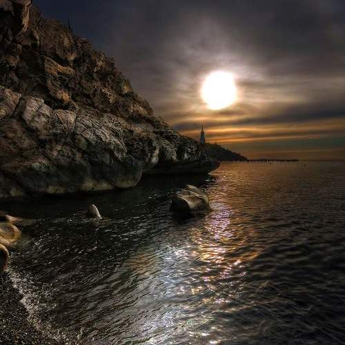 Photo #5772652