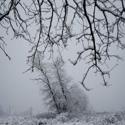 Photo #5772811
