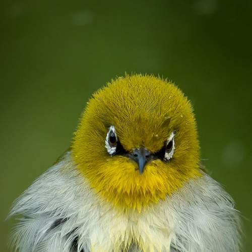 Photo #5773073
