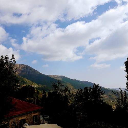 Photo #5773144