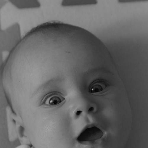Photo #5773286