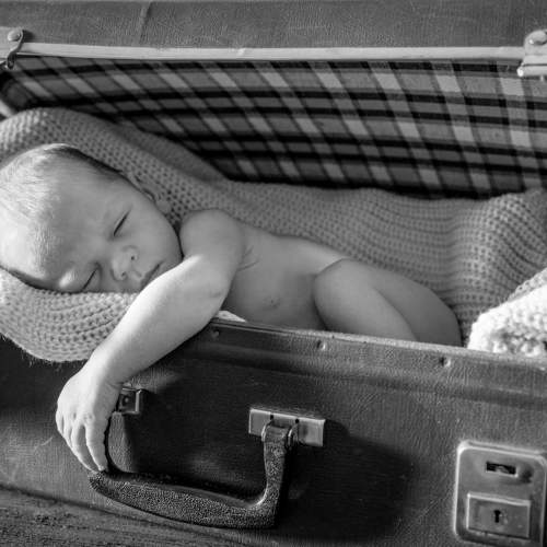 Photo #5773473