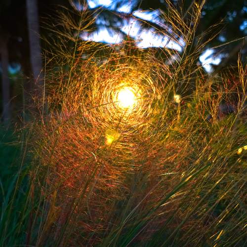 Photo #5773677