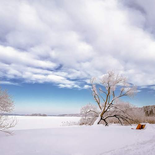 Photo #5773728