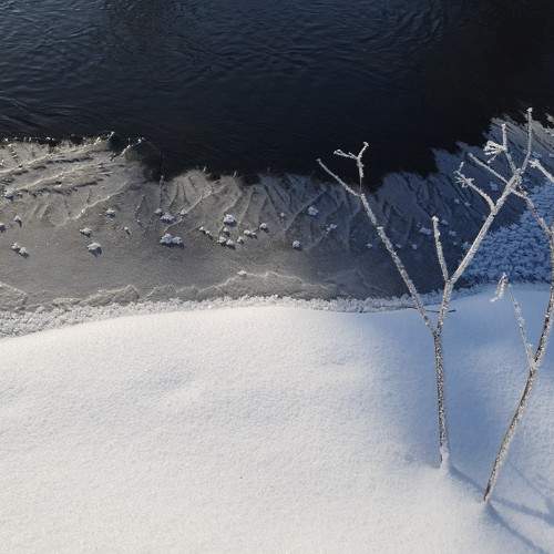 Photo #5773733
