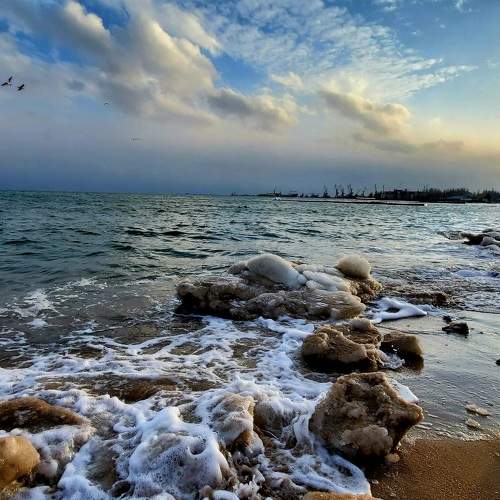Photo #5773815