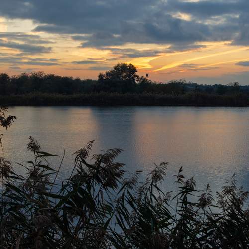 Photo #5774099