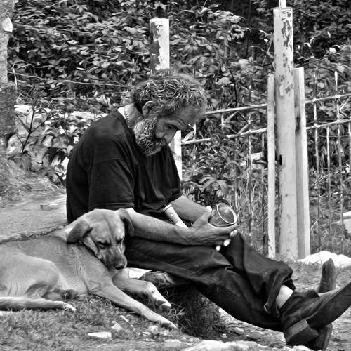 Photo #5774959