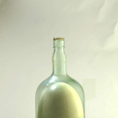 Photo #5774974