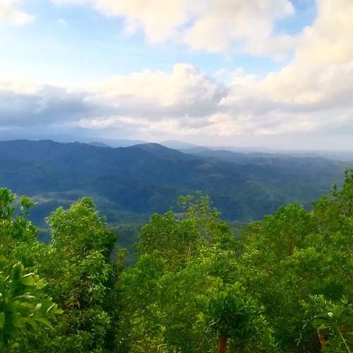Photo #5775122