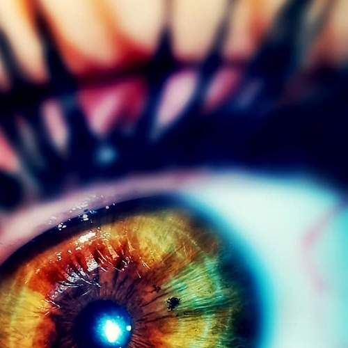 Photo #5775140