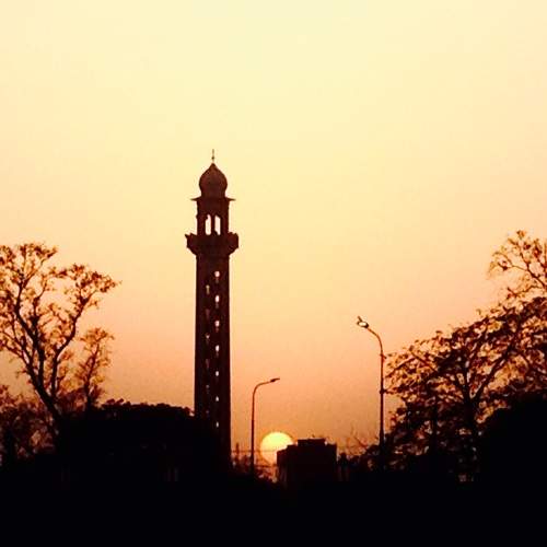 Photo #5775375