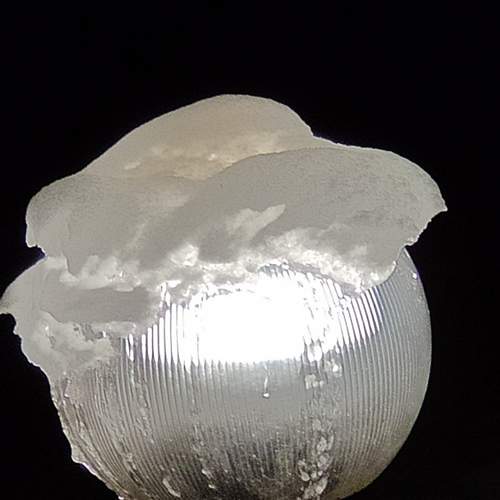 Photo #5775699