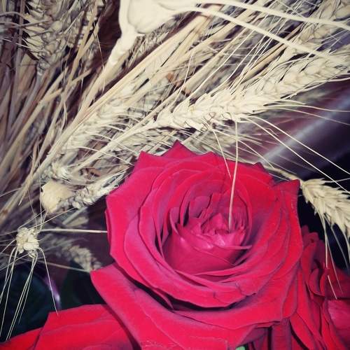 Photo #5775934