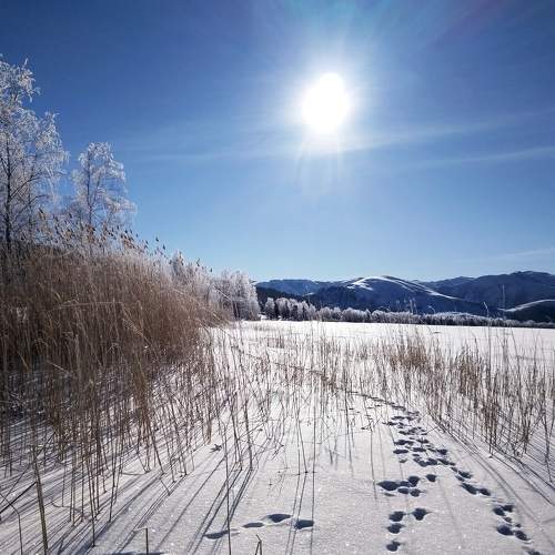 Photo #5775972