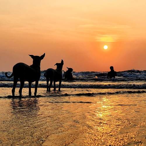 Photo #5776113