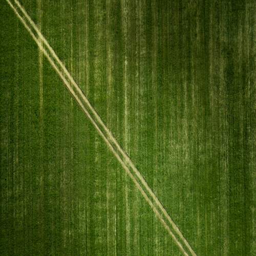 Фотография #5776385