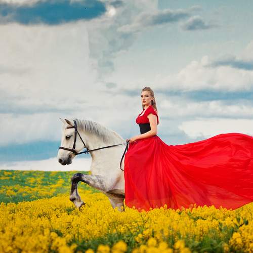 Photo #5776597