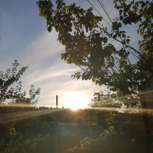 Photo #5776800