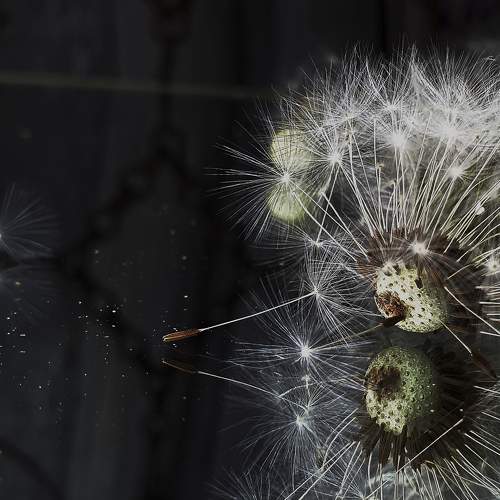 Photo #5776967