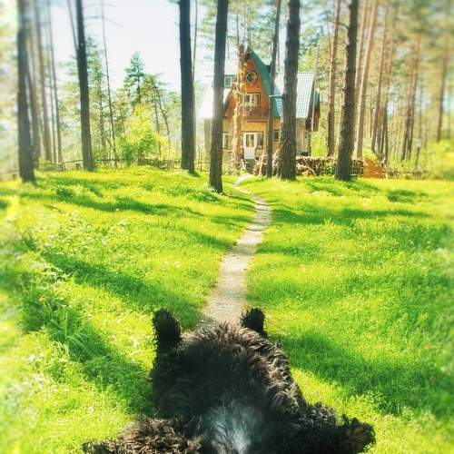 Photo #5776978