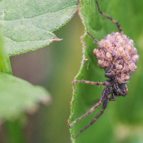 Photo #5777155