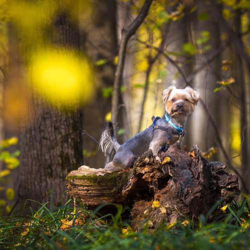 Photo #5777185