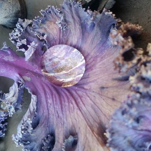 Photo #5777191