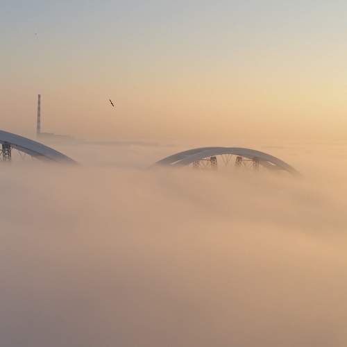 Photo #5777238