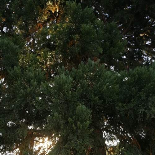 Photo #5777322