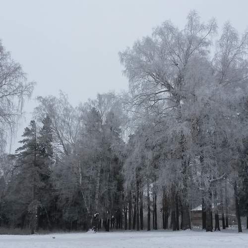 Куржак