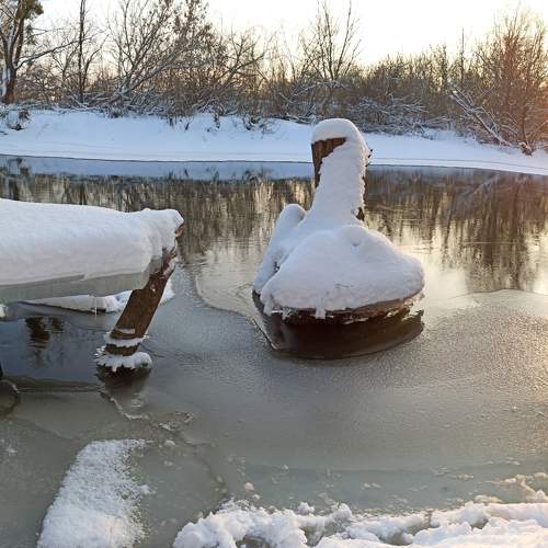 Photo #5777540