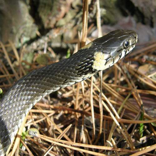 Photo #5777646