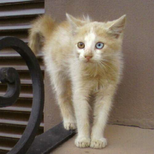 Photo #5777664
