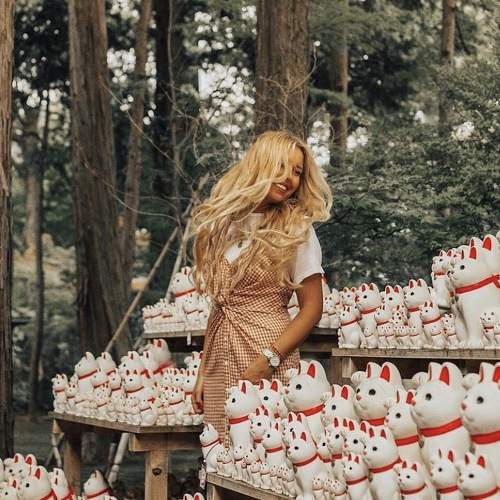 Photo #5777818